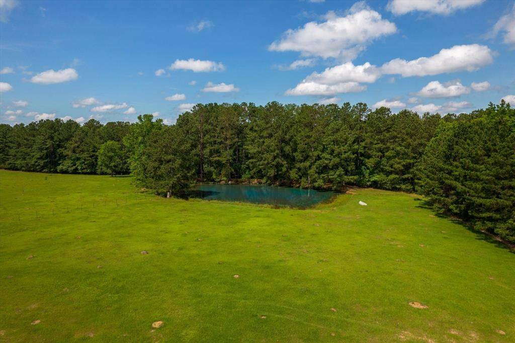 Woodville, TX 75979,0000 FM 1632