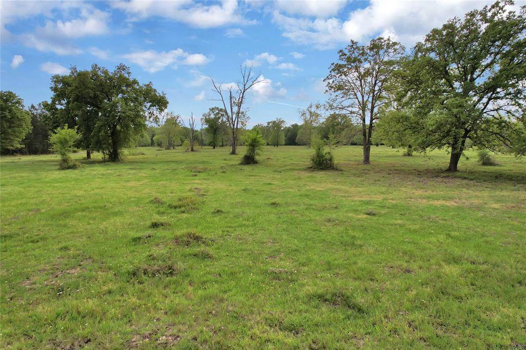 Livingston, TX 77351,Lot B Mangum DR