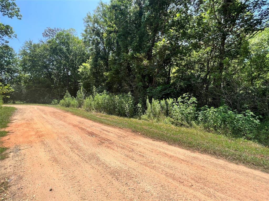 Shepherd, TX 77371,0000 S Wooded Creek LN