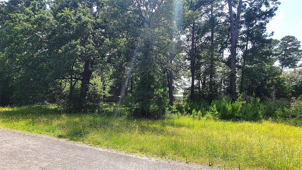 Trinity, TX 75862,TBD Schooner DR
