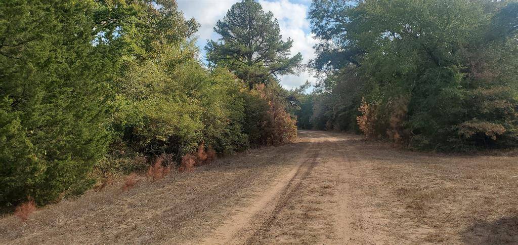 Hempstead, TX 77445,Lot 33 Drake LN