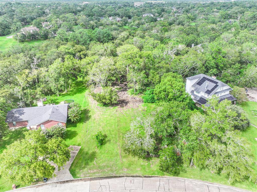 Friendswood, TX 77546,5362 Appleblossom LN