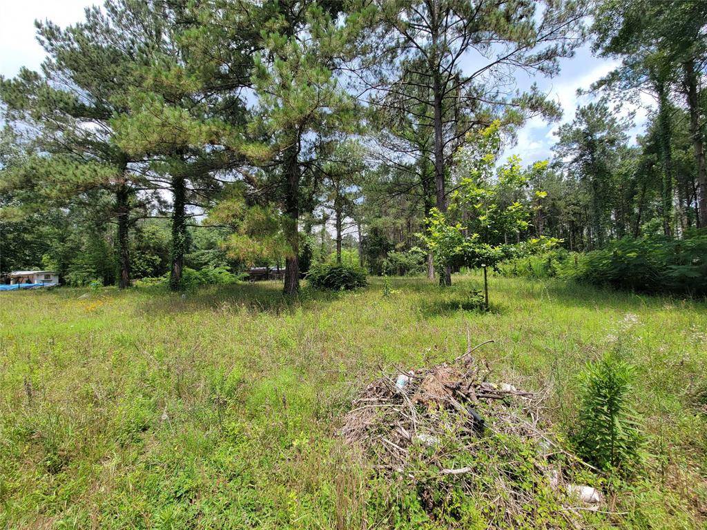 New Caney, TX 77357,25908 Somerset