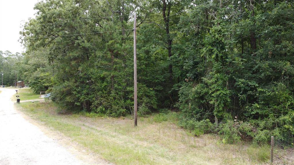 Livingston, TX 77351,Lots 128 & 129 Willowbend