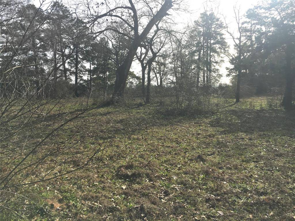 Hockley, TX 77447,Lot 4 Spring DR