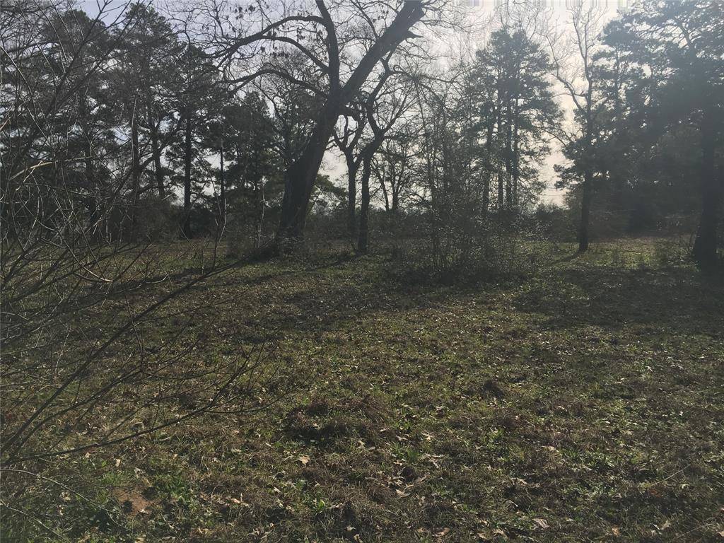 Hockley, TX 77447,Lot 4 Spring DR