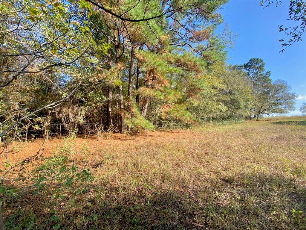 Crockett, TX 75835,TBD CR 4030