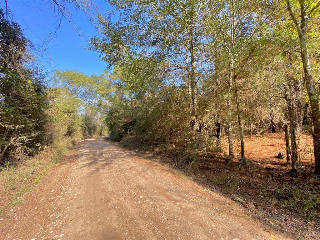 Crockett, TX 75835,TBD CR 4030