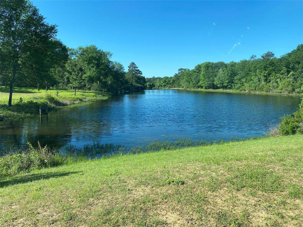 Hempstead, TX 77445,LOT#12 DEERWOOD LAKES