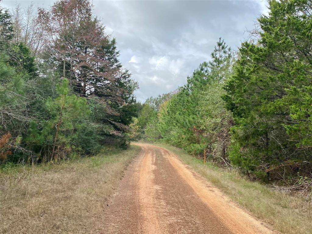 Hempstead, TX 77445,LOT#12 DEERWOOD LAKES