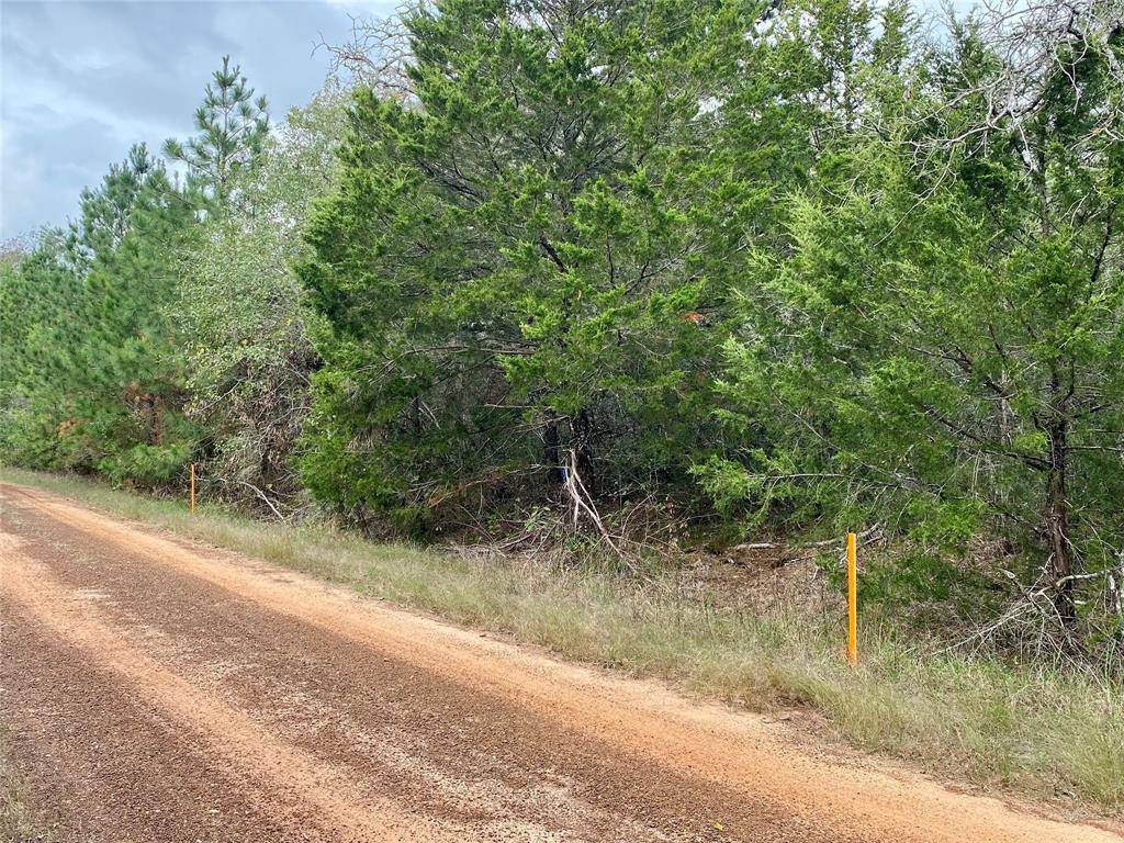 Hempstead, TX 77445,LOT#12 DEERWOOD LAKES