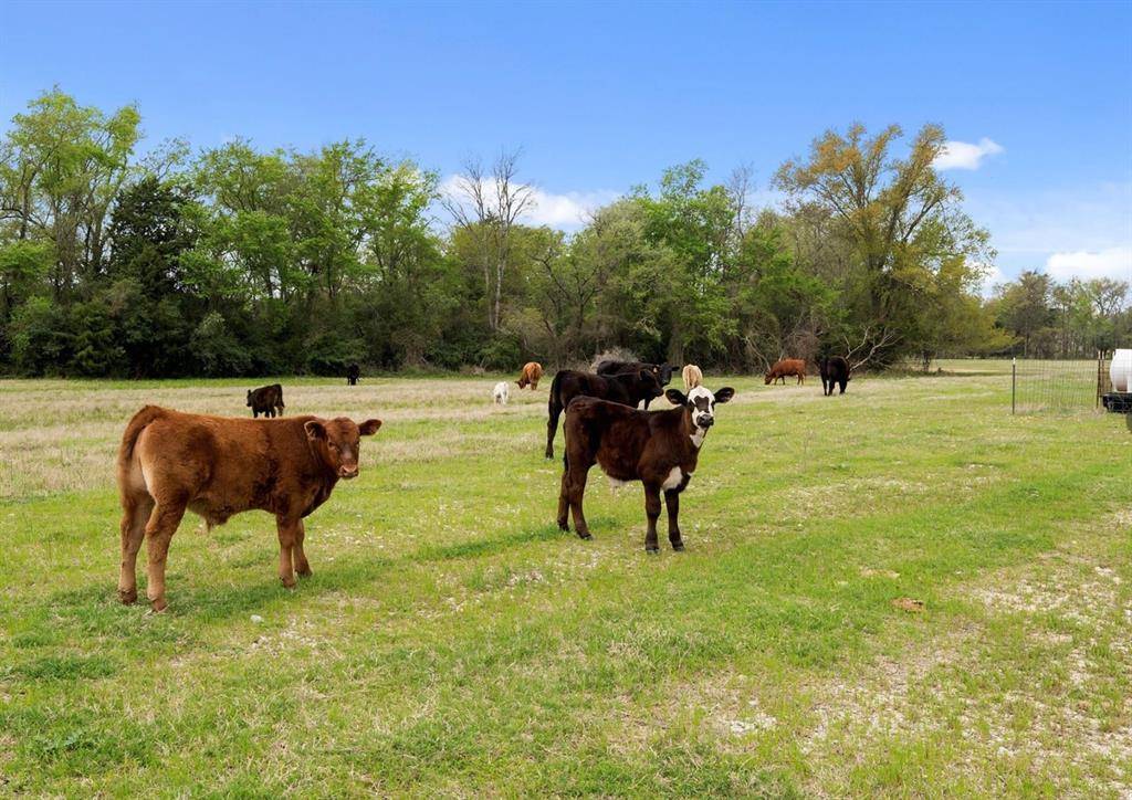 Teague, TX 75860,TBD County Rd 741