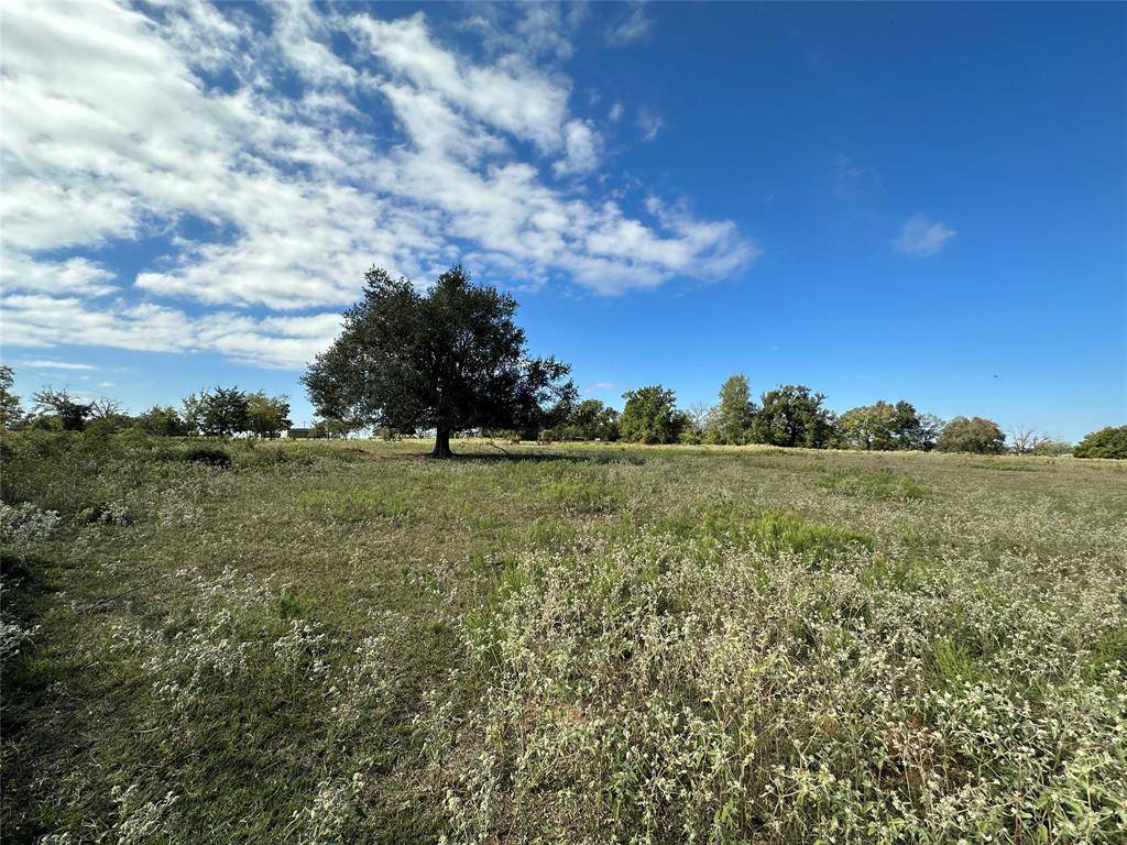 Teague, TX 75860,TBD 9.176 Acres FM 489