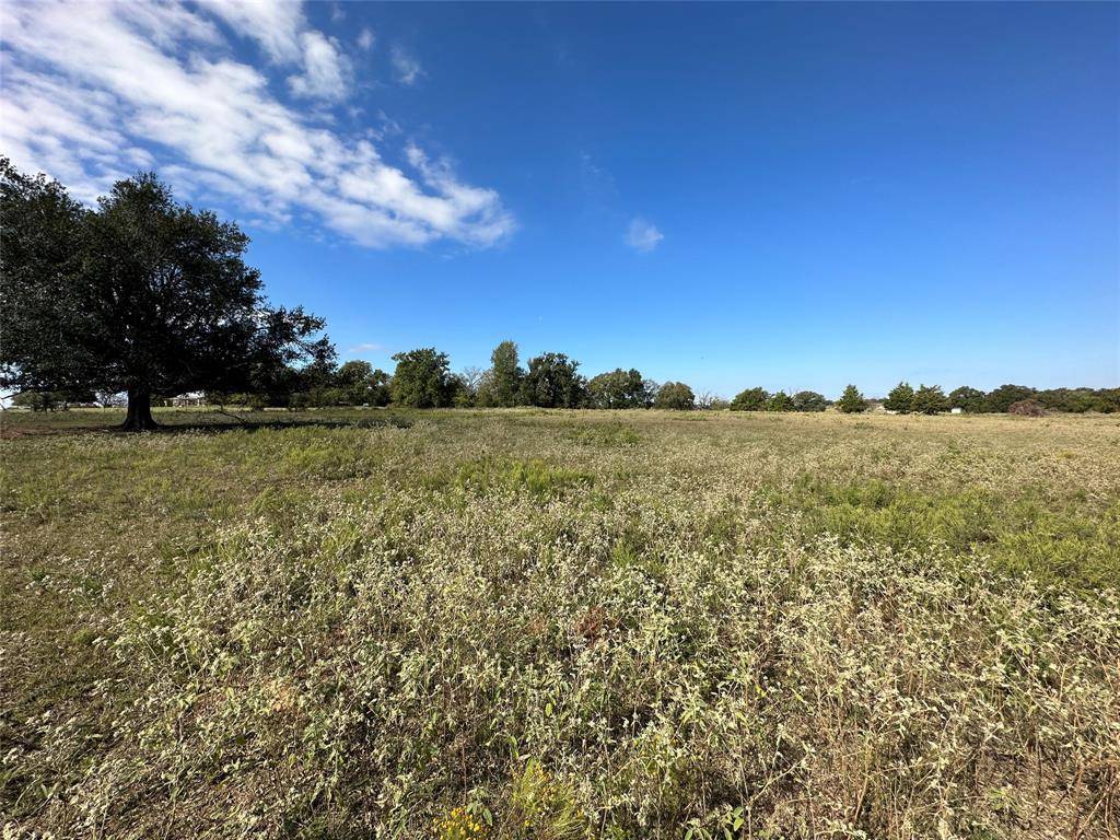 Teague, TX 75860,TBD 9.176 Acres FM 489