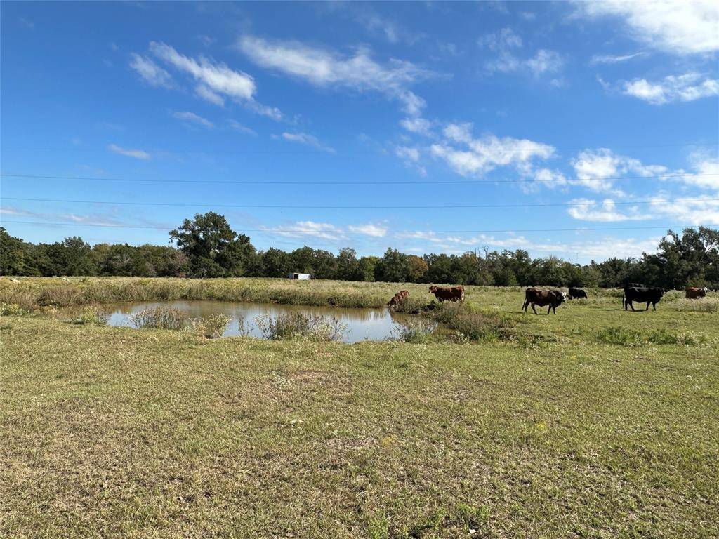 Teague, TX 75860,TBD 9.176 Acres FM 489