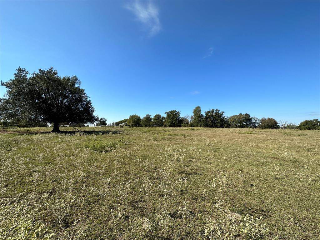 Teague, TX 75860,TBD 9.176 Acres FM 489