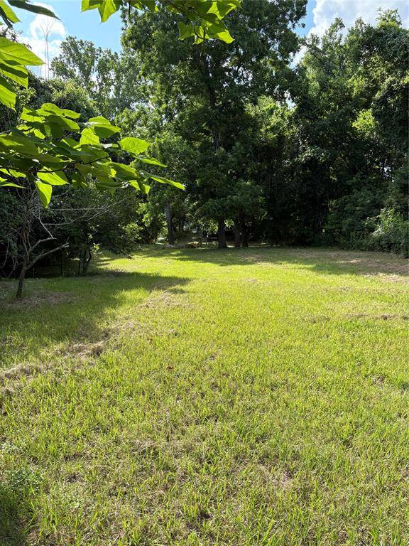 Livingston, TX 77351,TBD River RD S