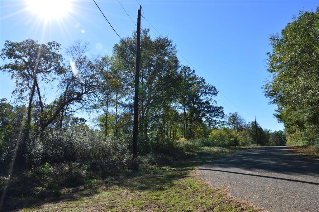 Plantersville, TX 77363,Tract #1 County Road 302