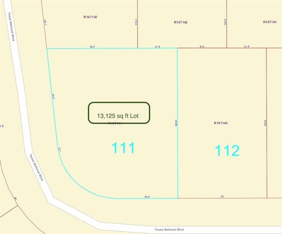 Willis, TX 77378,TBD Lot 111 Texas National