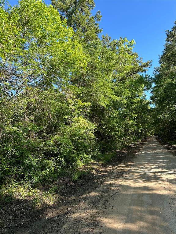 Huntsville, TX 77340,0 Hardy Bottom RD