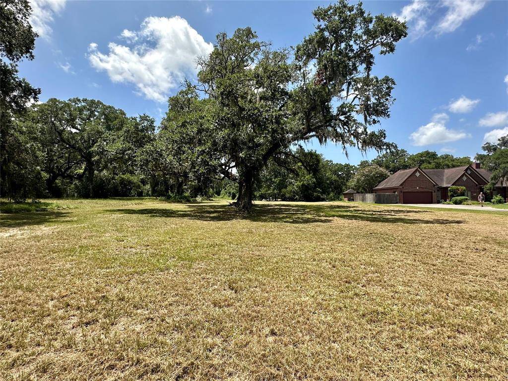 Angleton, TX 77515,1249 Angus CT