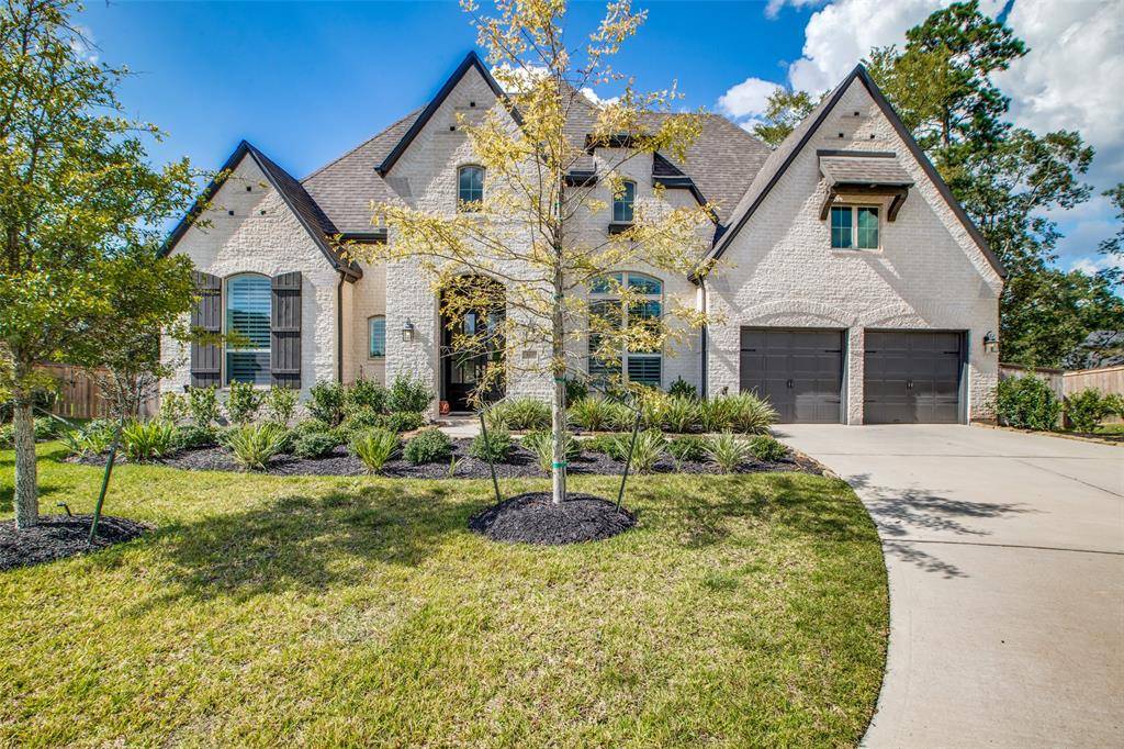 Willis, TX 77318,337 Irenic Mist CT