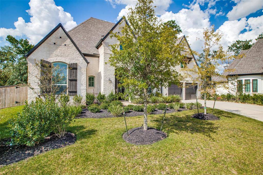 Willis, TX 77318,337 Irenic Mist CT