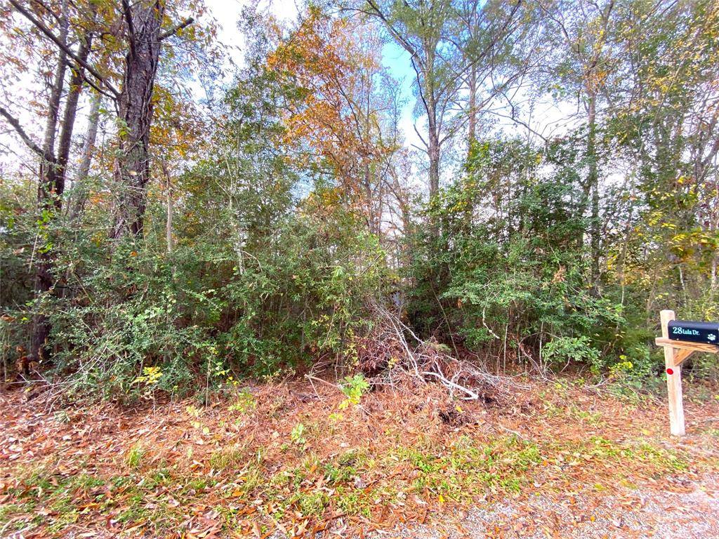 Huntsville, TX 77320,LOT 20 Lula DR