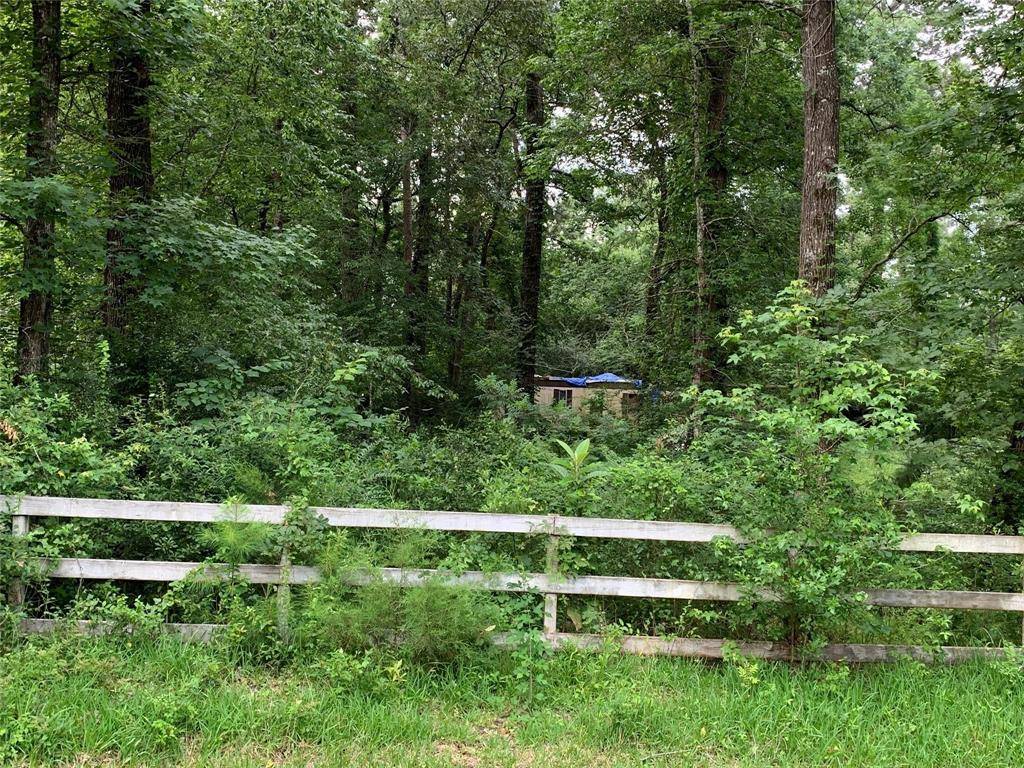 Magnolia, TX 77354,31110 Goldenrod LN