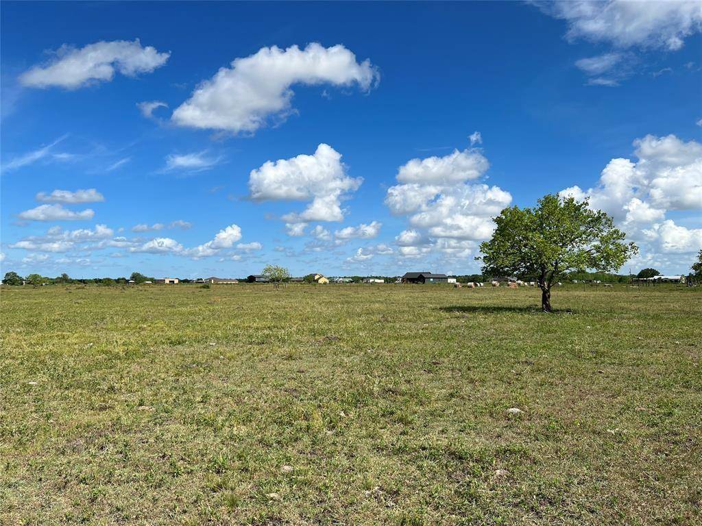 Rosharon, TX 77583,0 Lot 2, County Road 382