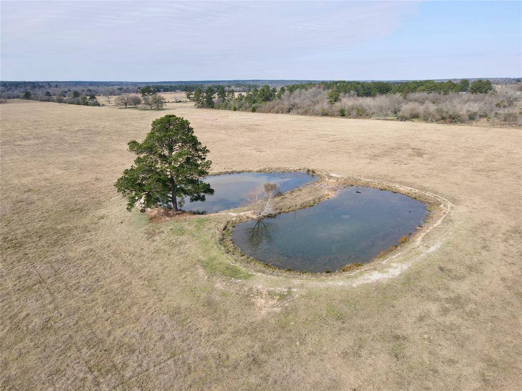 Richards, TX 77873,TBD County Road 216