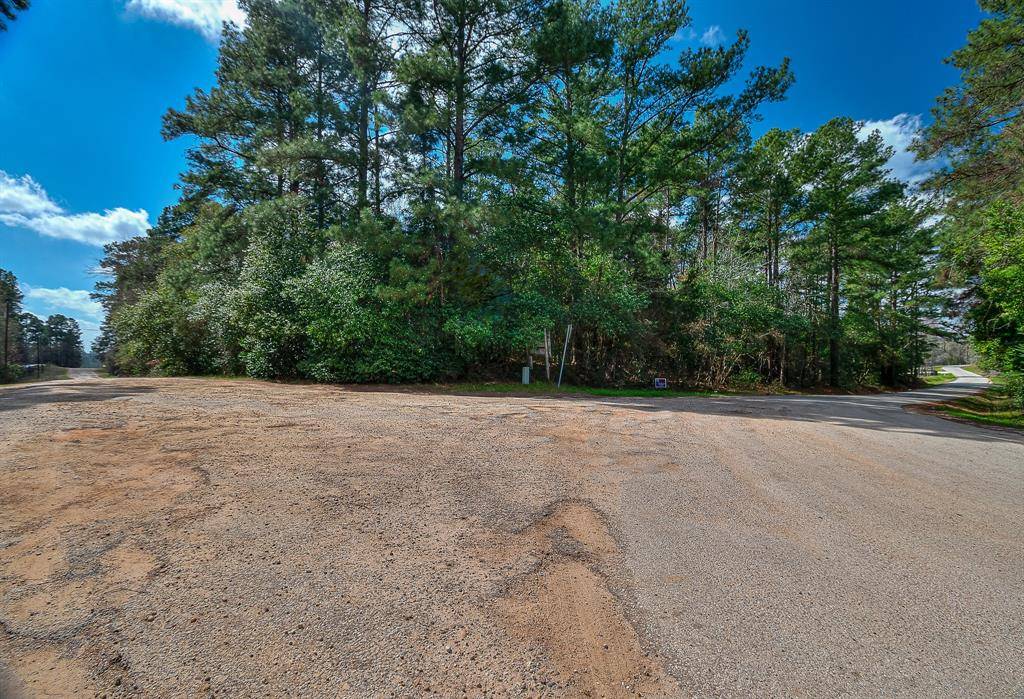 Coldspring, TX 77331,0 Timber LN