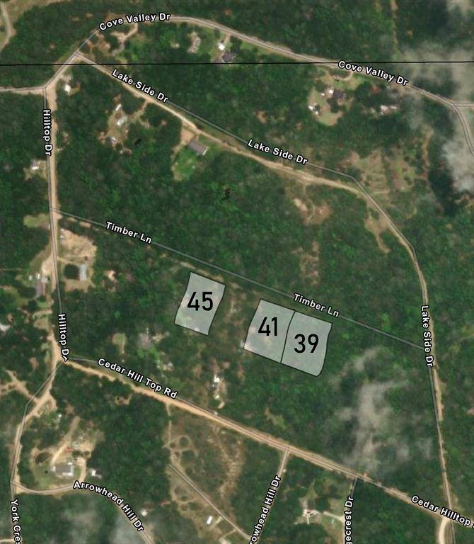 Coldspring, TX 77331,0 Timber LN