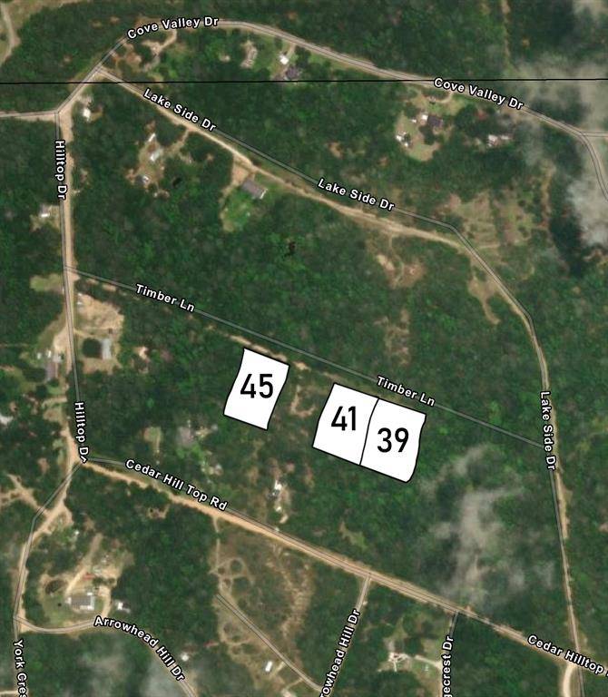 Coldspring, TX 77331,0 Timber LN