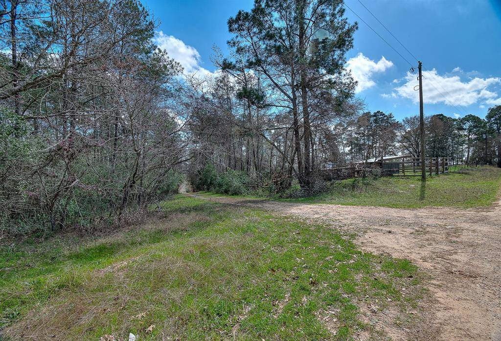 Coldspring, TX 77331,0 Timber LN