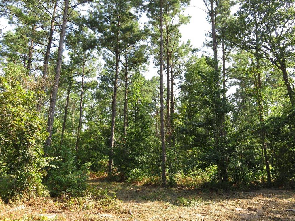 Garrison, TX 75946,00 Reeves Rd