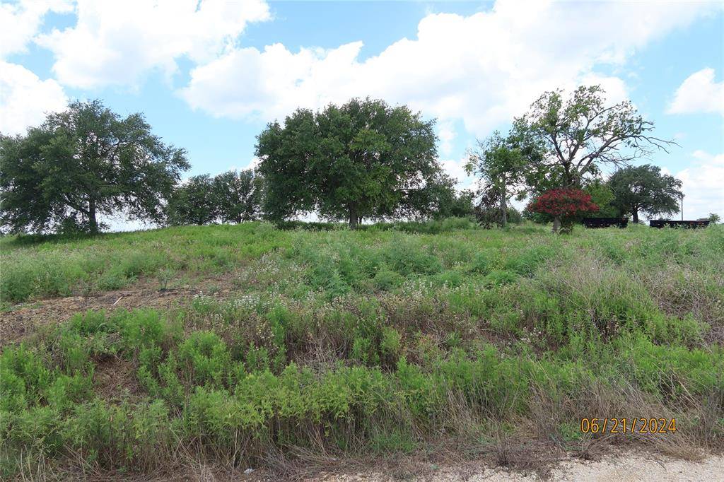 Chappell Hill, TX 77426,Lot 20 Primrose Ln