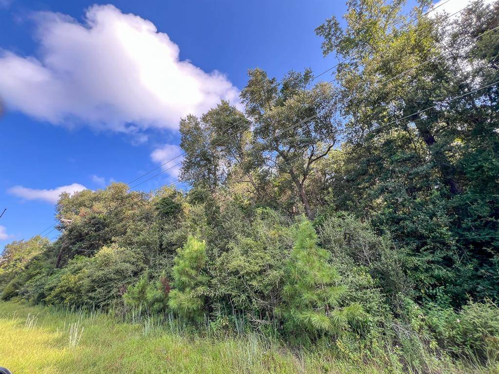 Kirbyville, TX 75956,2 FM 1013