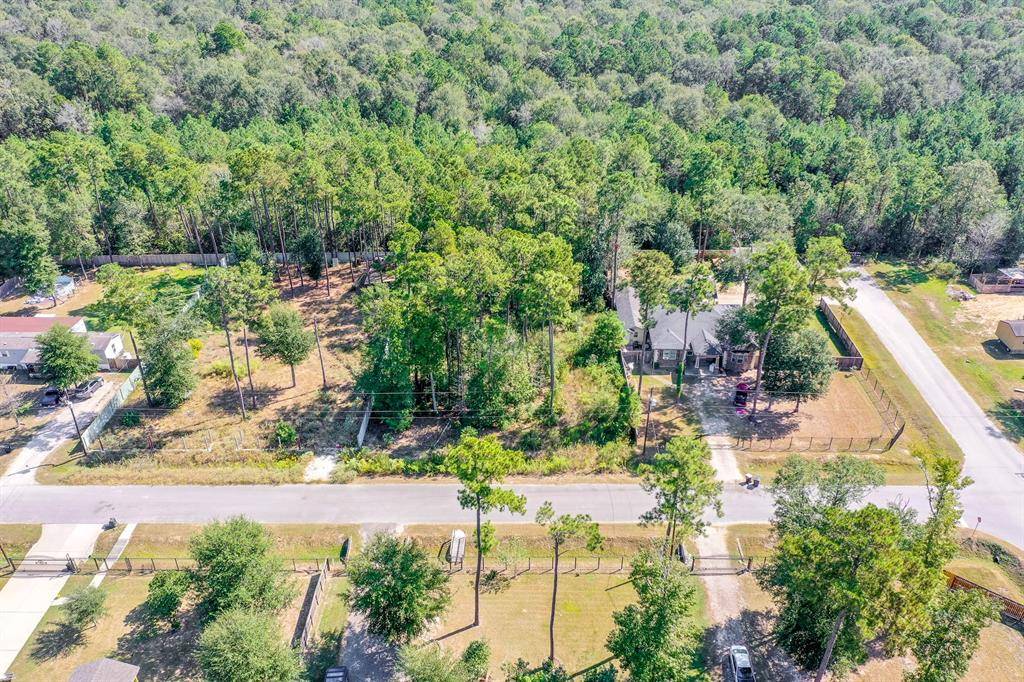 New Caney, TX 77357,23956 Treehopper LN