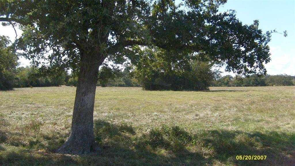 Iola, TX 77861,0000 County Road 103