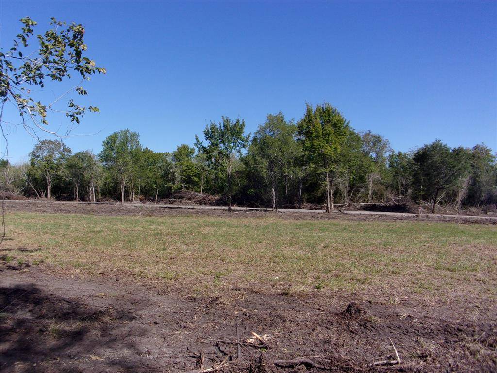 Rosharon, TX 77583,0000 (Lot 70) Trufle Rue ST