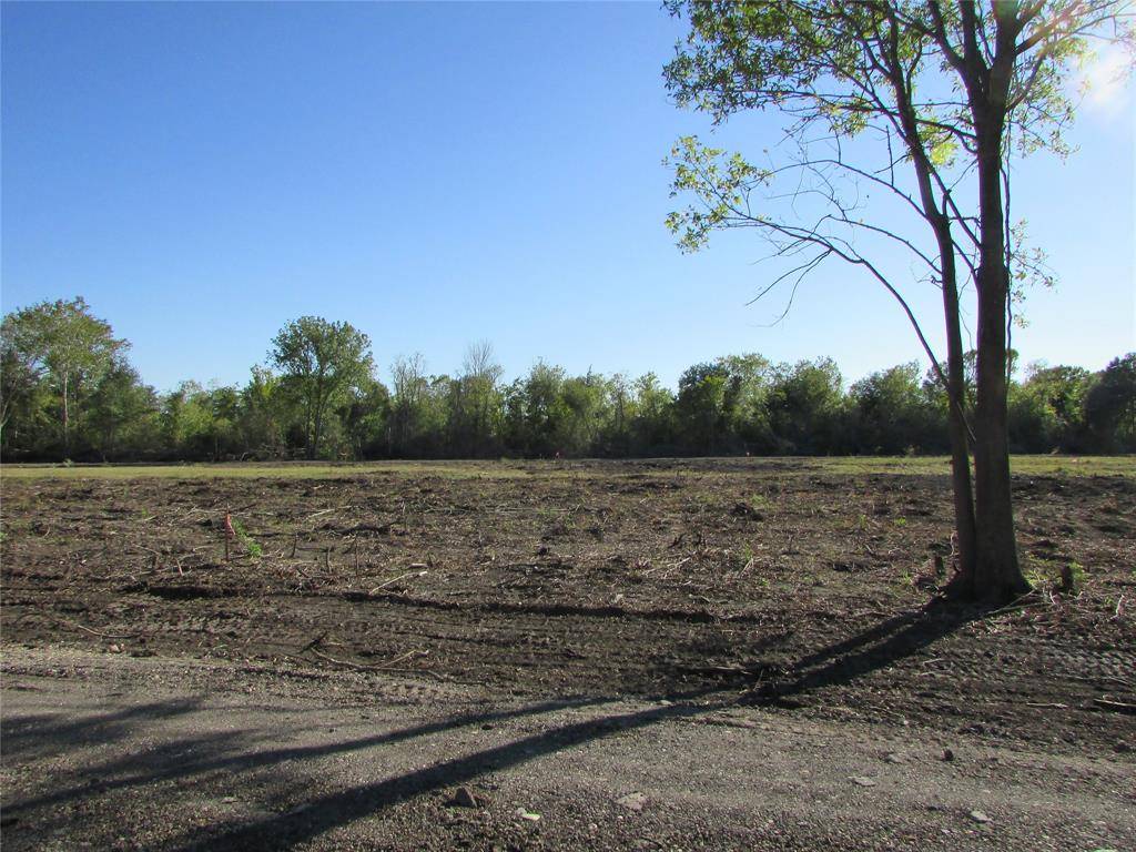 Rosharon, TX 77583,0000 (Lot 70) Trufle Rue ST