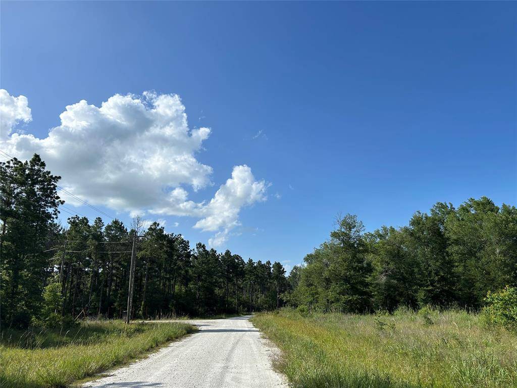 Lovelady, TX 77854,Tract 35 FM 230
