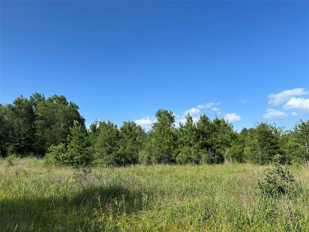 Lovelady, TX 77854,Tract 35 FM 230