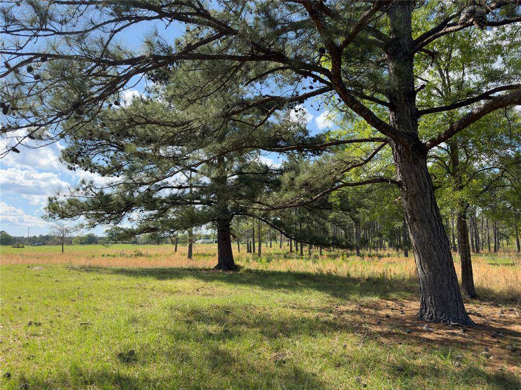 Warren, TX 77664,tbd County Road 4800