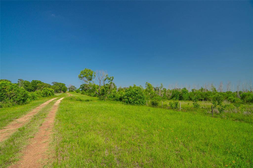 Waller, TX 77445,26720 Waller Gladish Road