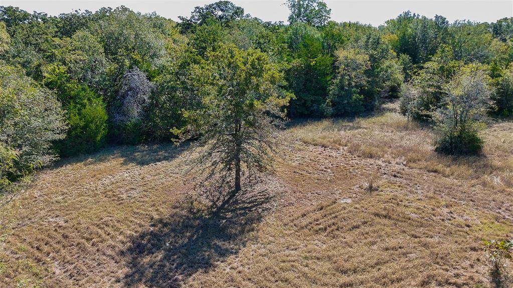 Iola, TX 77861,12796 S Fork LN