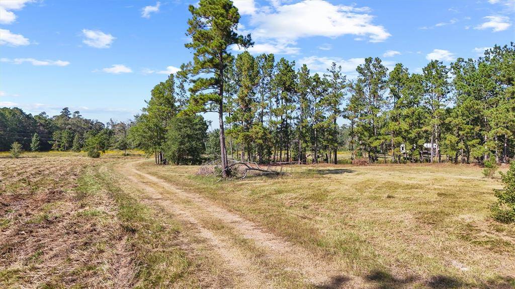 Thicket, TX 77374,1615 Bob Williams RD