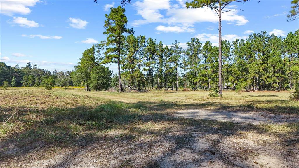 Thicket, TX 77374,1615 Bob Williams RD