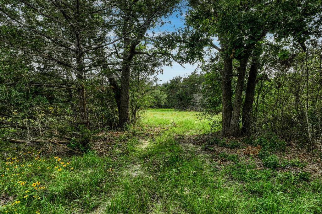 Carmine, TX 78932,Tract 4 Wildlife CIR